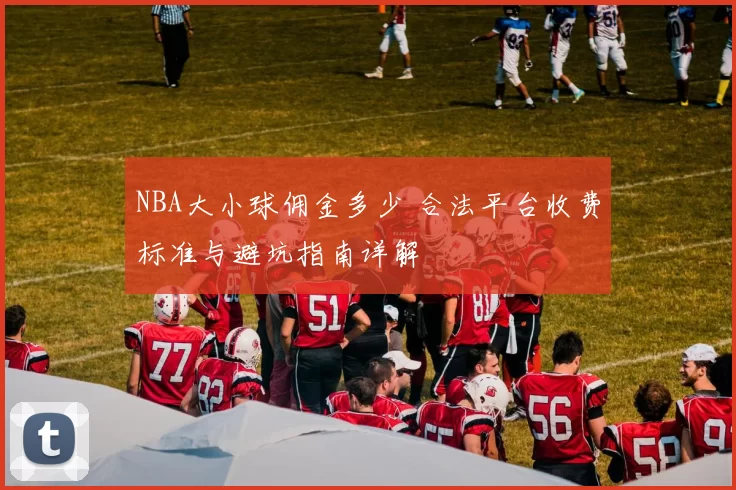 NBA大小球佣金多少 合法平台收费标准与避坑指南详解