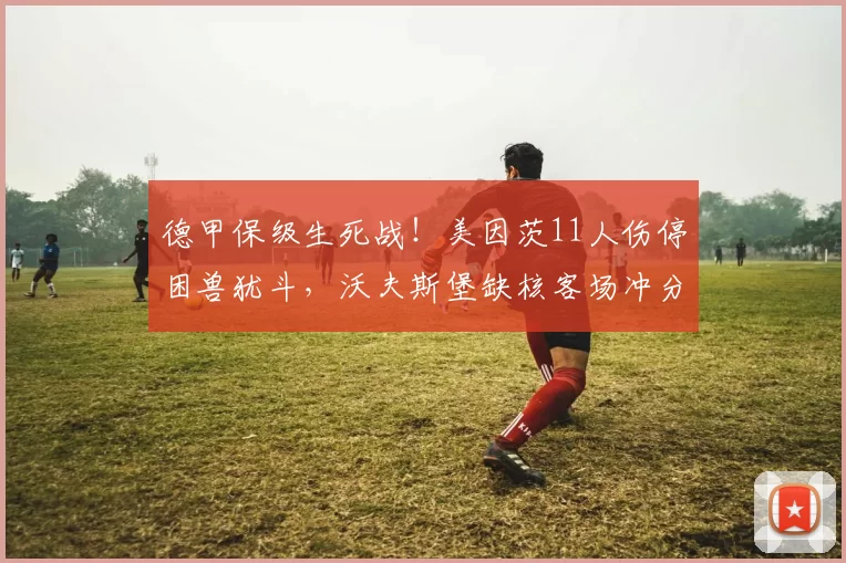 德甲保级生死战!美因茨11人伤停困兽犹斗,沃夫斯堡缺核客场冲分_核心_本赛季_伤病