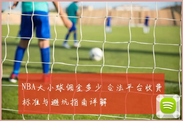 NBA大小球佣金多少 合法平台收费标准与避坑指南详解